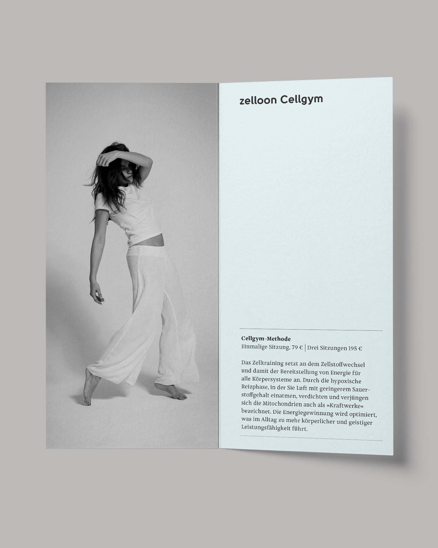 viergestalten_Bernhard-Hafele_zelloon_03
